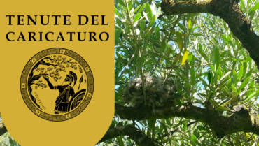 Cosa c’è dietro il nostro logo